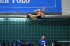 Diving vs USCGA  Wheaton College Swimming & Diving vs US Coast Guard Academy. - Photo By: KEITH NORDSTROM : Wheaton, Swimming, Diving